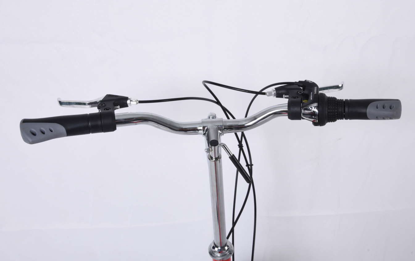 Tez folding bike deals